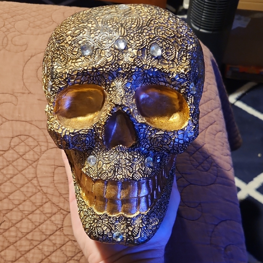 Gold and Black Decorative Skull 7"×7"×5"